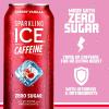 imageSparkling Ice Caffeine Variety Pack Flavored Sparkling Water Zero Sugar with Vitamins and Antioxidants 16 fl oz 12 count Citrus Twist Black Raspberry Blue Raspberry Strawberry CitrusCherry Vanilla