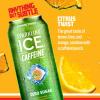 imageSparkling Ice Caffeine Variety Pack Flavored Sparkling Water Zero Sugar with Vitamins and Antioxidants 16 fl oz 12 count Citrus Twist Black Raspberry Blue Raspberry Strawberry CitrusCitrus Twist