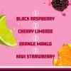 imageSparkling Ice Pink Variety Pack Flavored Sparkling Water Zero Sugar and Vitamins and Antioxidants 17 fl oz 12 count Black Cherry Peach Nectarine Coconut Pineapple Fruit PunchPurple Variety Pack