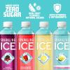 imageSparkling Ice Pink Variety Pack Flavored Sparkling Water Zero Sugar and Vitamins and Antioxidants 17 fl oz 12 count Black Cherry Peach Nectarine Coconut Pineapple Fruit PunchBlue Variety Pack