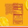 imageSparkling Ice Fruit Punch Sparkling Water with Antioxidants and Vitamins Zero Sugar 75 fl oz Mini Cans Pack Of 10Classic Lemonade